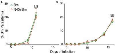 Age-Related Differential Stimulation of Immune Response by Babesia microti and Borrelia burgdorferi During Acute Phase of Infection Affects Disease Severity